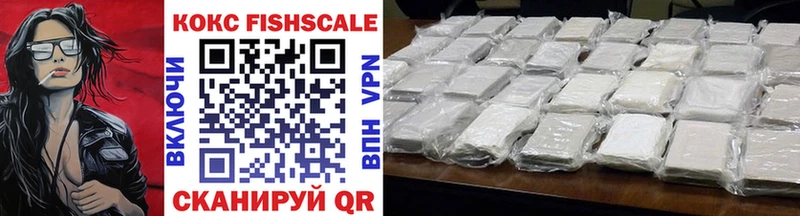 Cocaine Fish Scale  блэк спрут ссылки  Невель 
