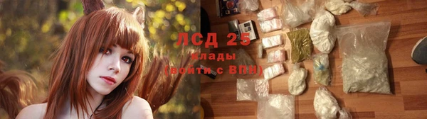 ГАЛЛЮЦИНОГЕННЫЕ ГРИБЫ Верхнеуральск