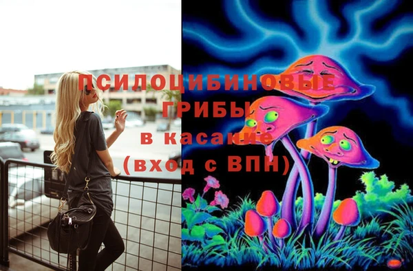 ГАЛЛЮЦИНОГЕННЫЕ ГРИБЫ Верхнеуральск