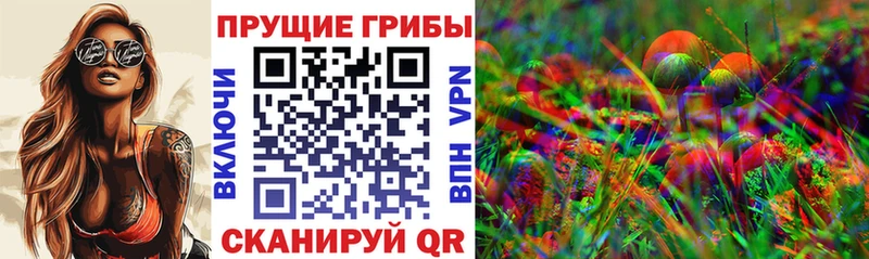 Псилоцибиновые грибы Psilocybine cubensis гидра зеркало Невель